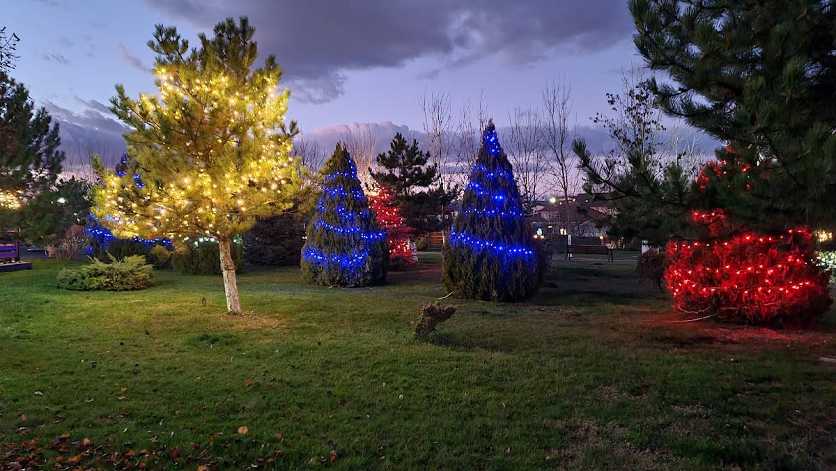 Parc Central Tunari - foto 3