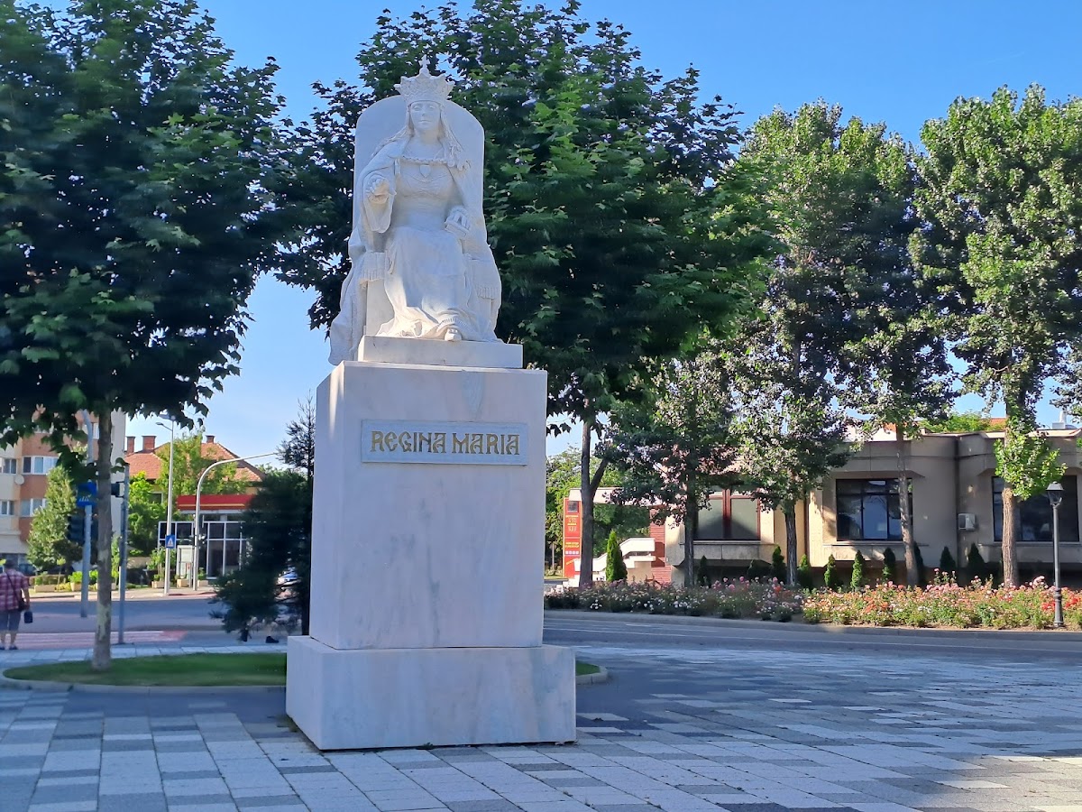 Parque Cetate - foto 5