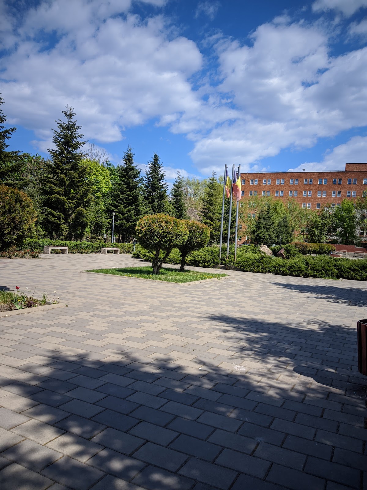 Parc Cholet - foto 3