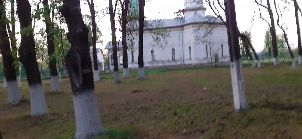 Curcani Park - foto 3