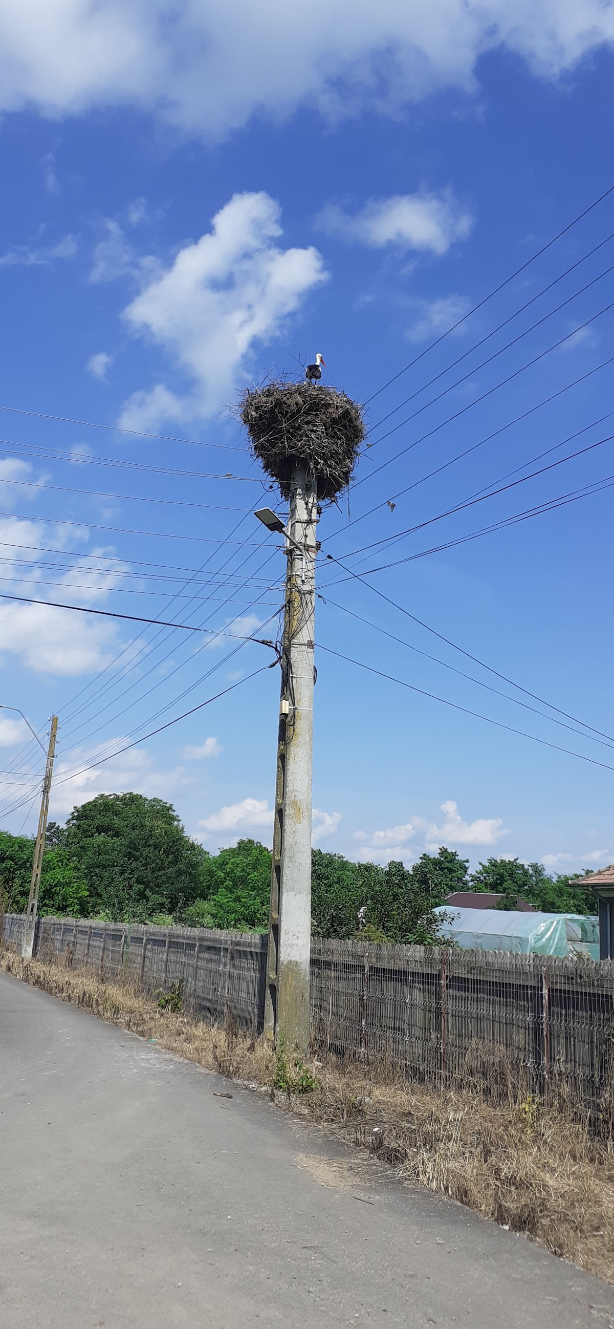 Curcani Park - foto 4