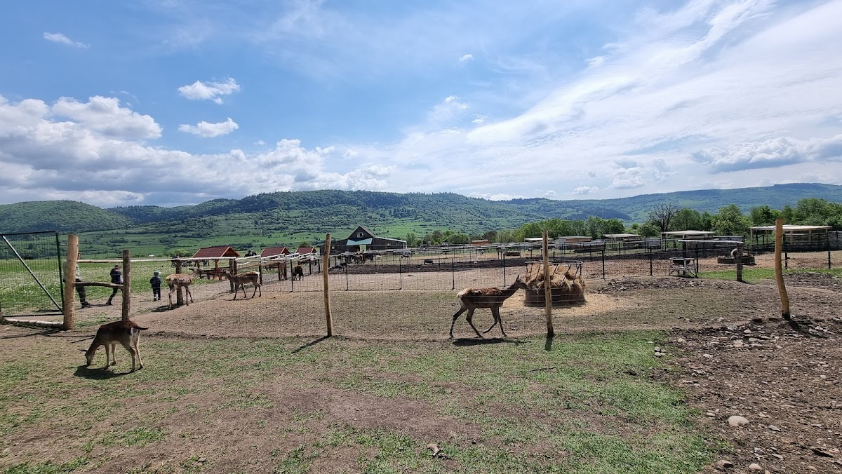 Parco di animali domestici e selvatici per bambini - foto 5