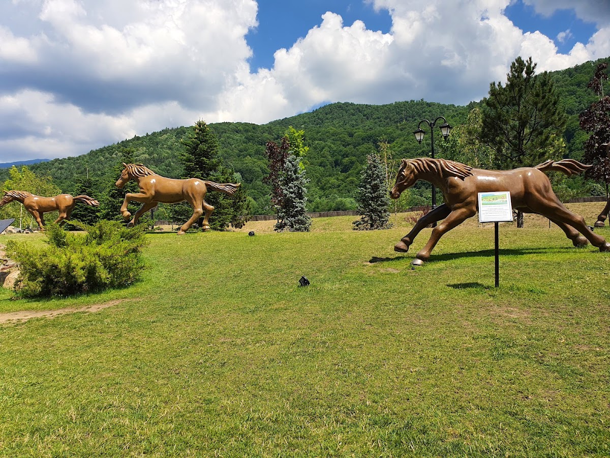 Rekreációs park (Lópark) - foto 2