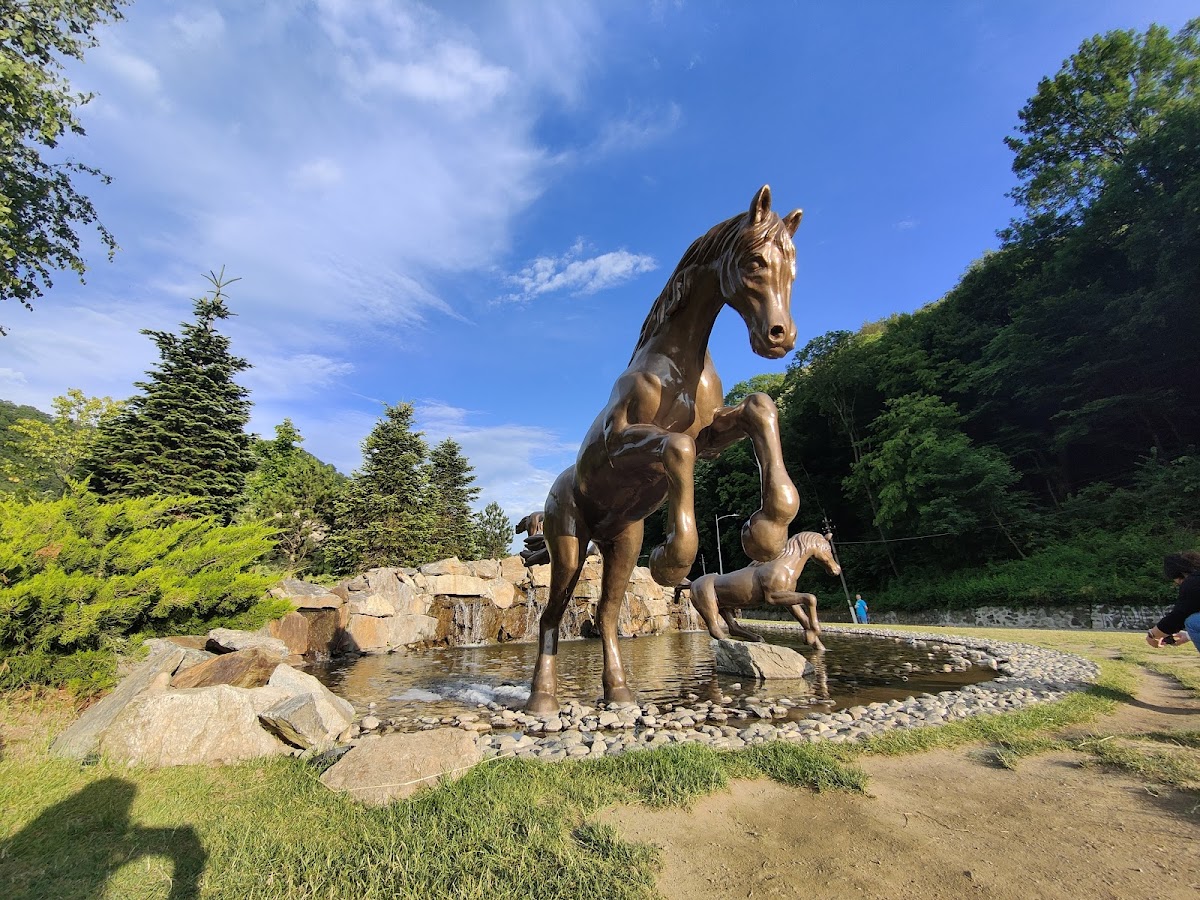 Rekreációs park (Lópark) - foto 3