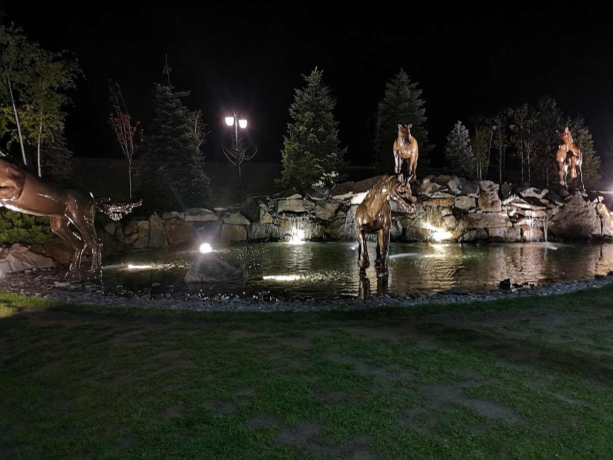 Rekreációs park (Lópark) - foto 5