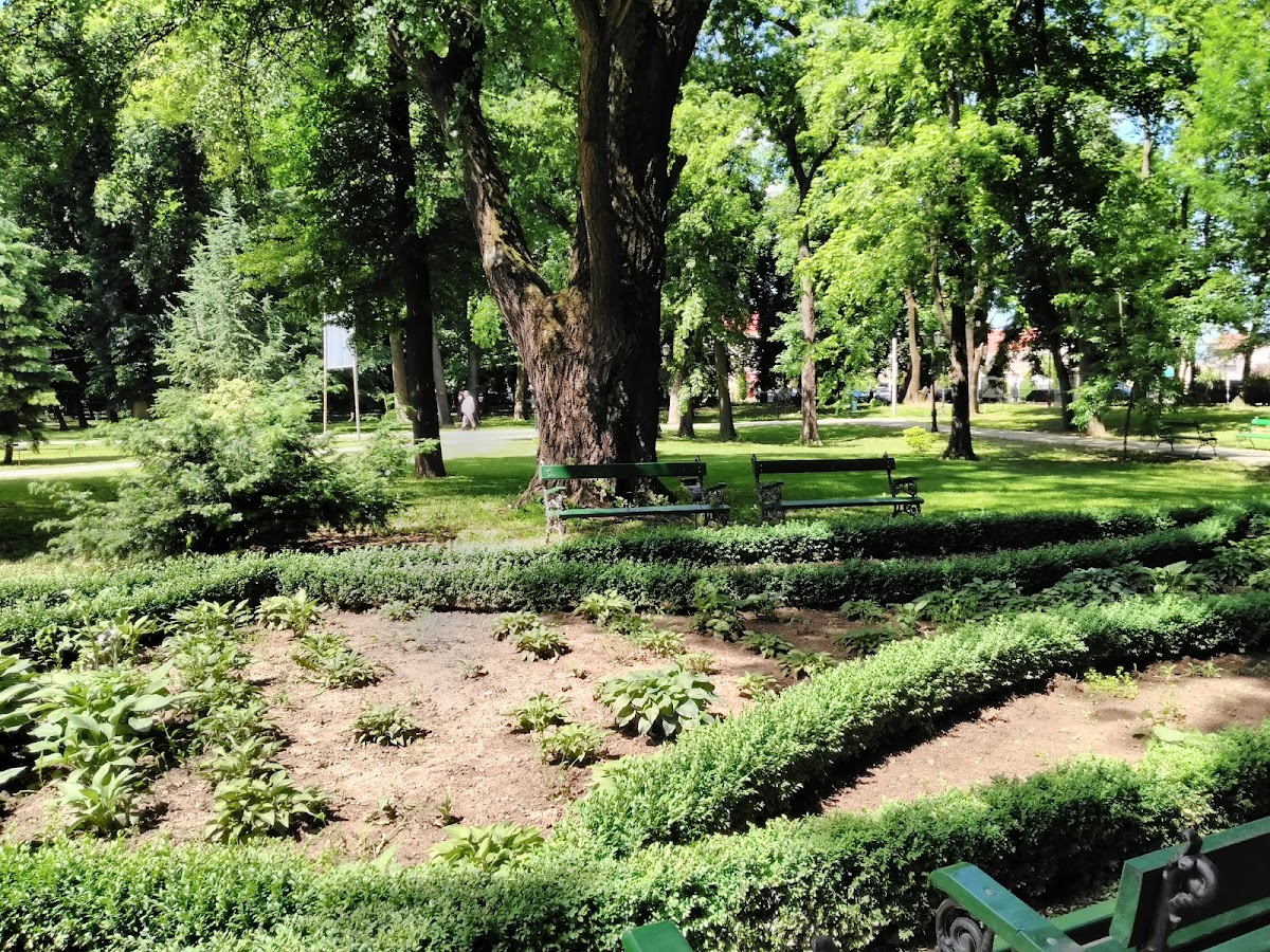 Parc Dendrologic - foto 2