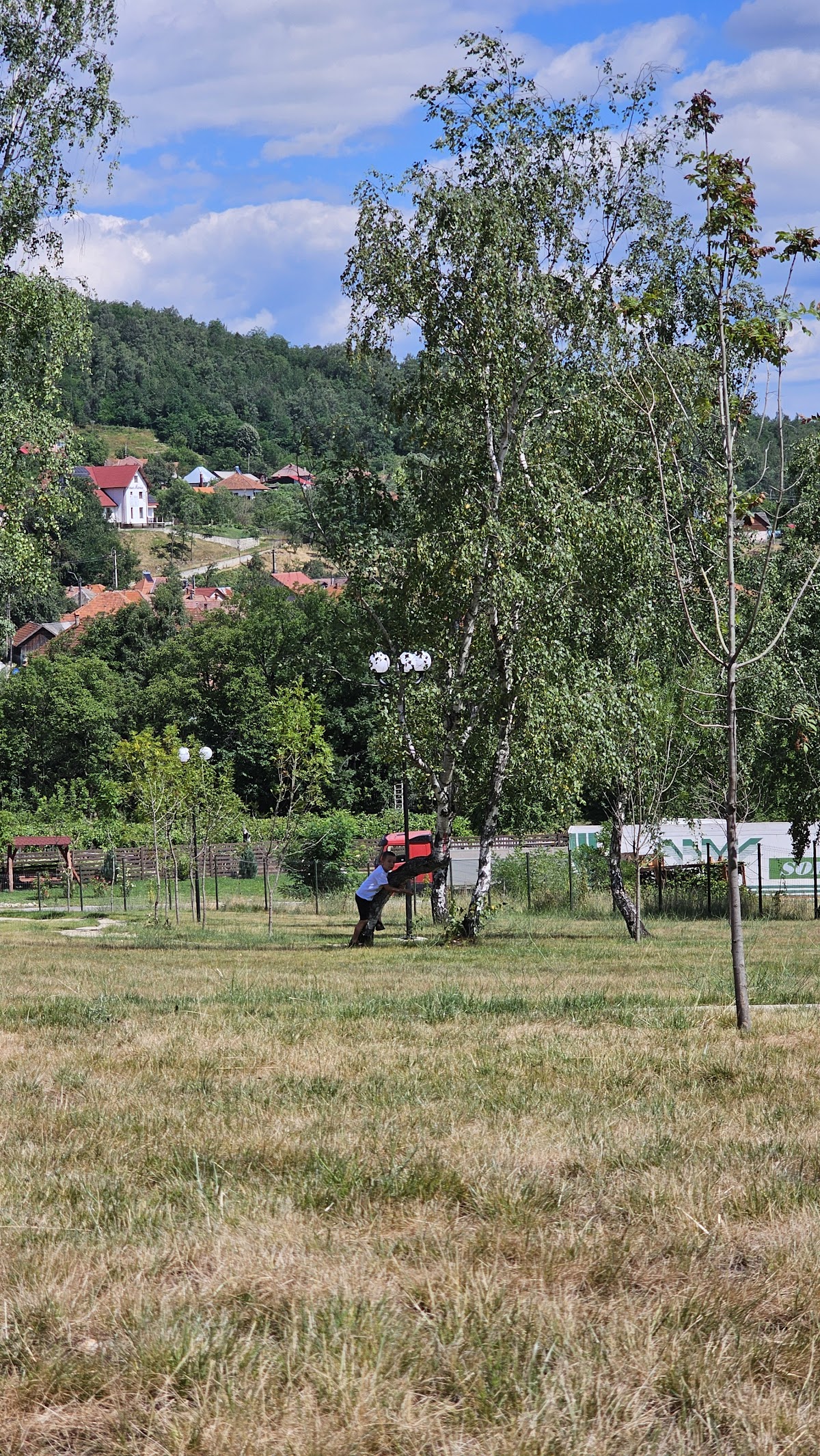 Parc Dendrologic