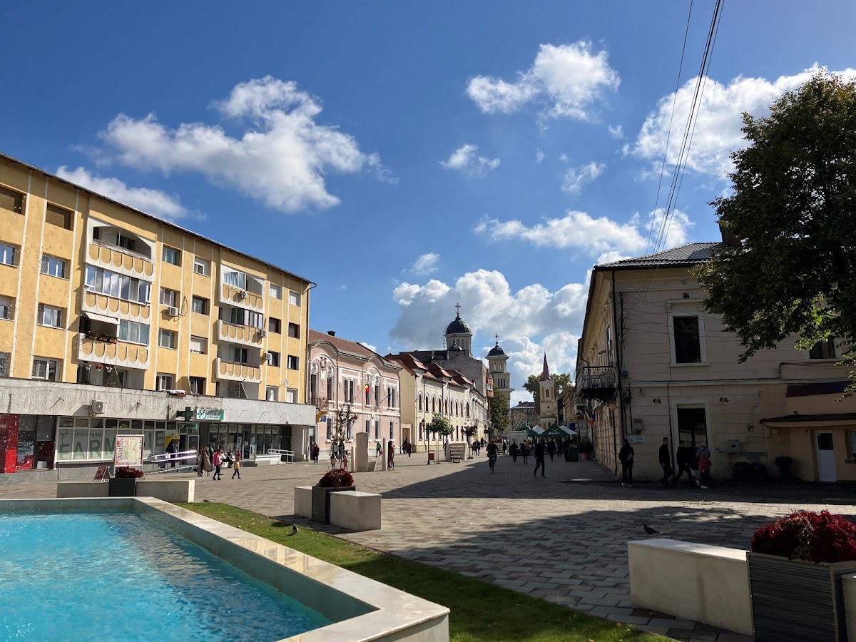 德拉加利纳公园 - foto 3