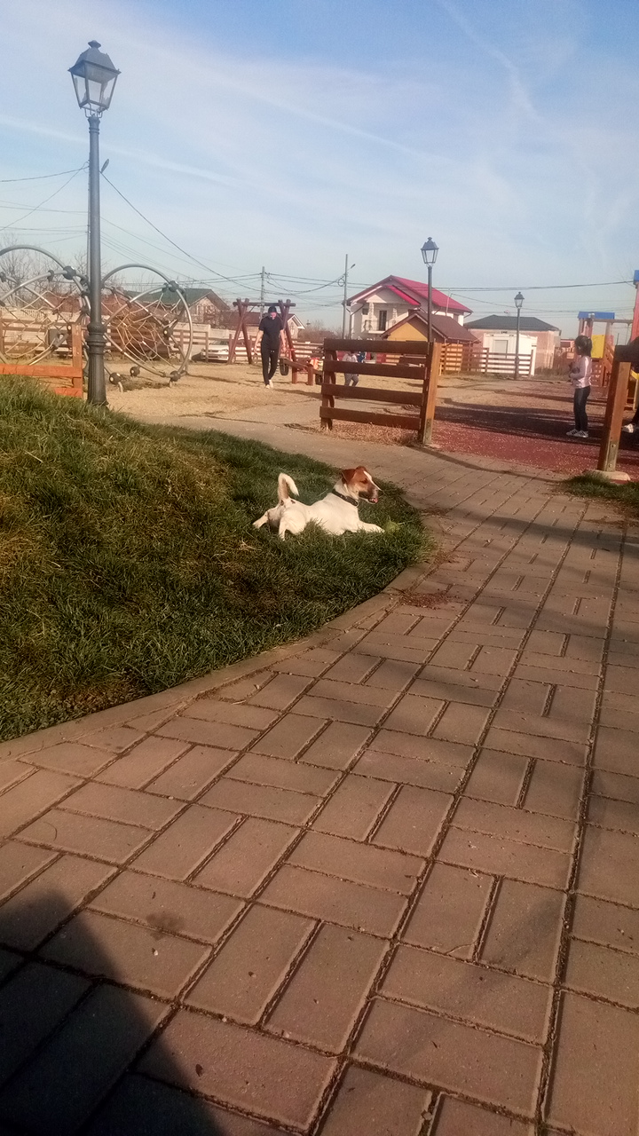 Parc Dragomirești Deal - foto 5