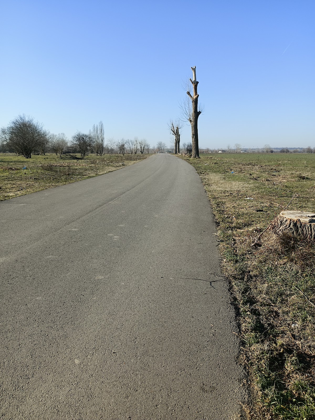 Parc Dumitrana - foto 3