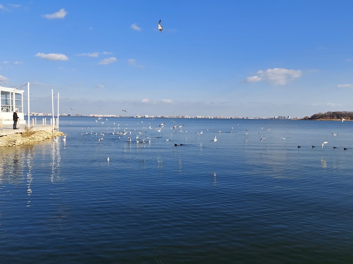 Parc Faleza Ovidiu - foto 4