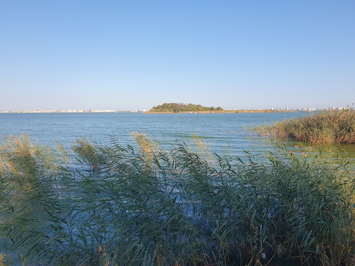 Parc Faleza Ovidiu - foto 5