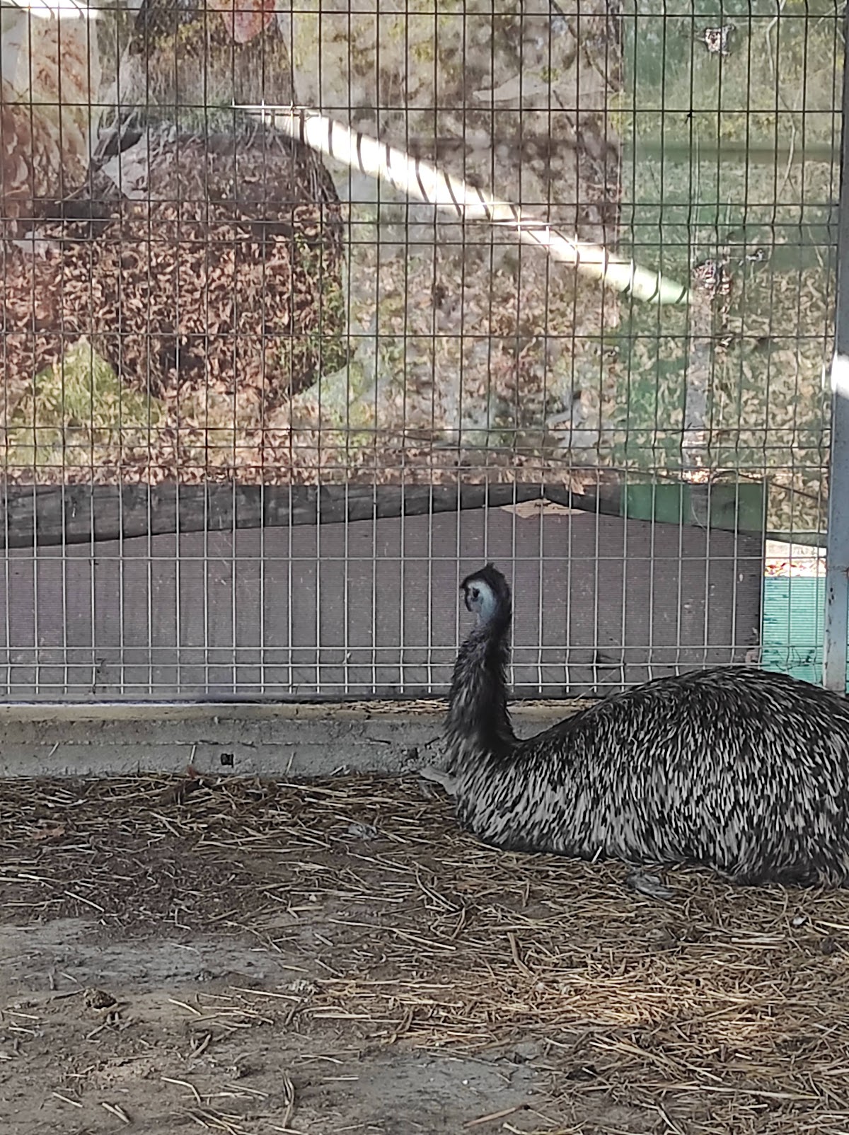 Parc Jardin ZOO - foto 4