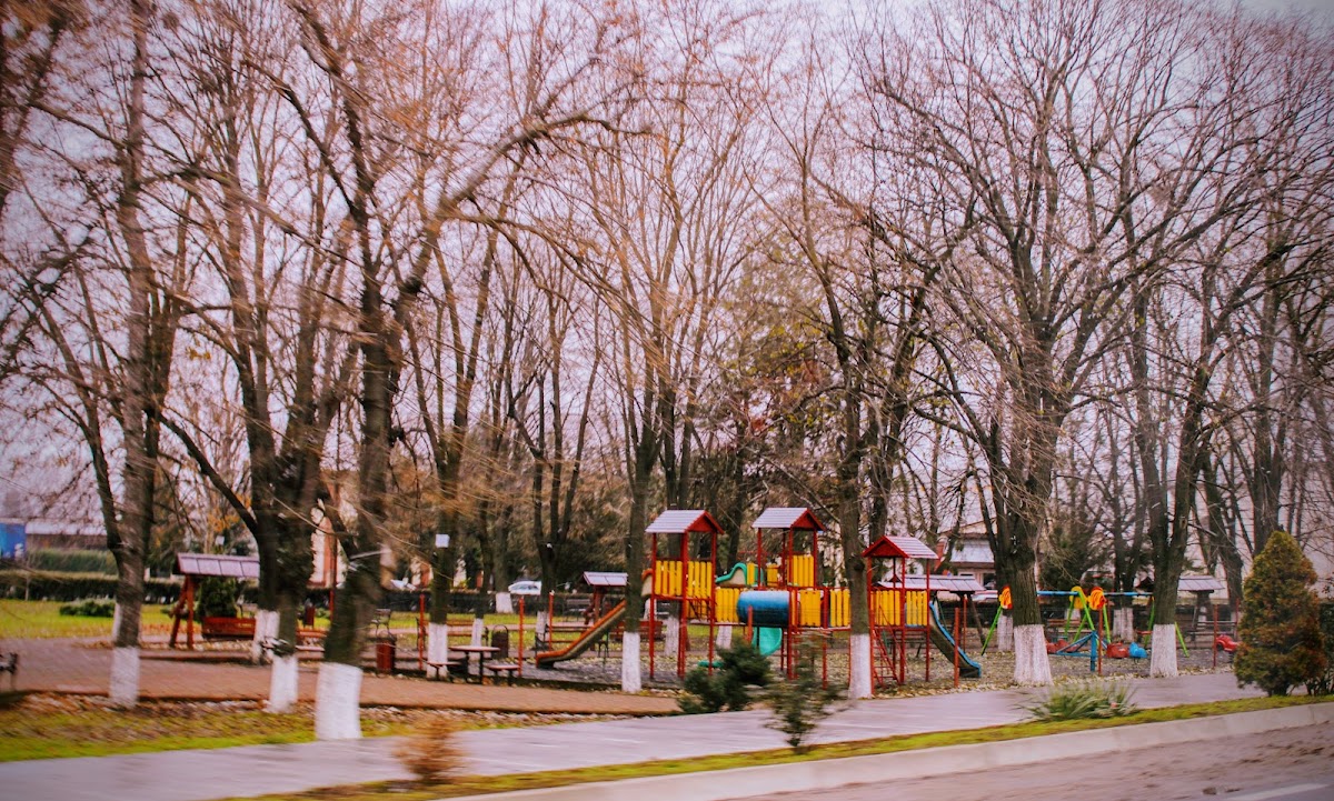 Parc Însurăței - foto 2