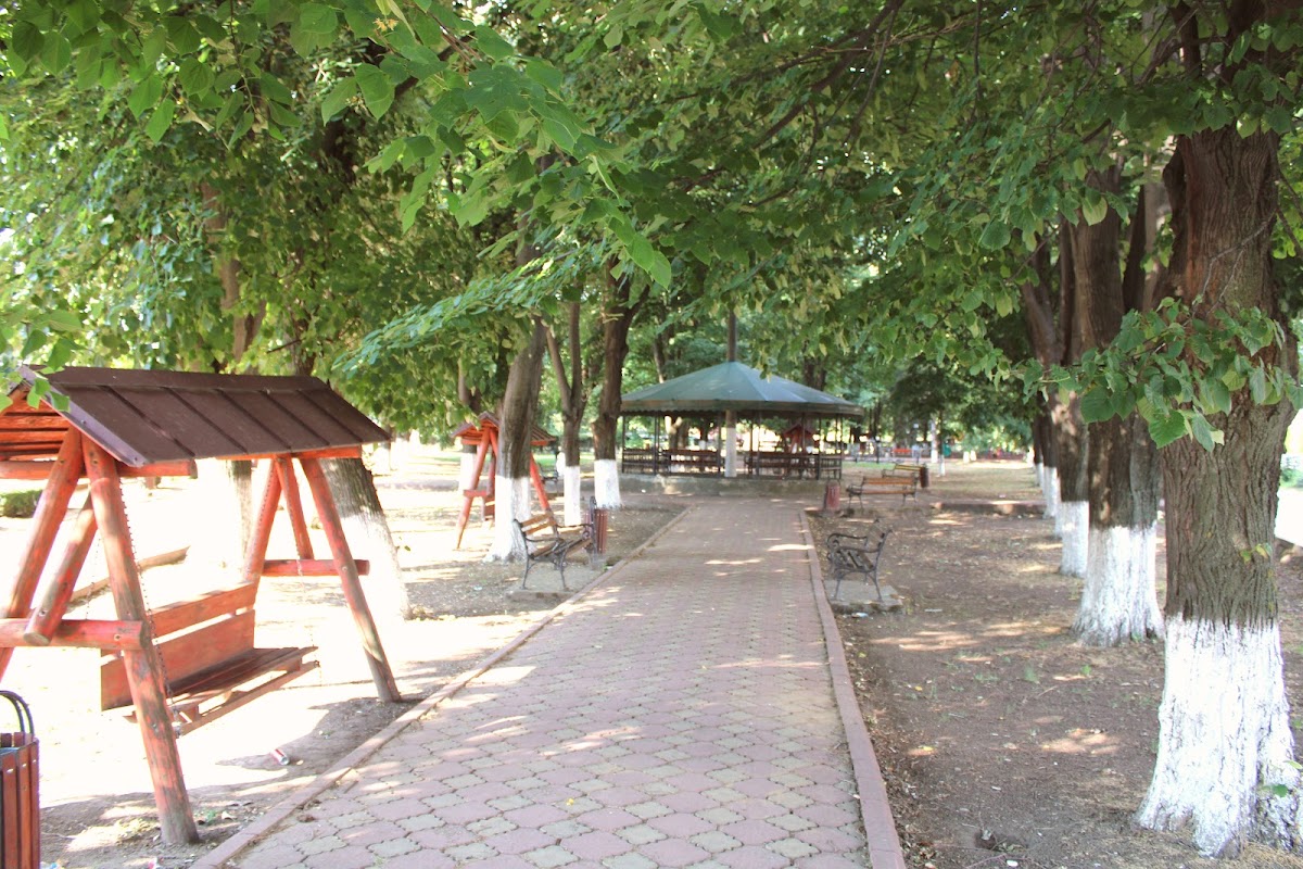 Parc Însurăței - foto 3