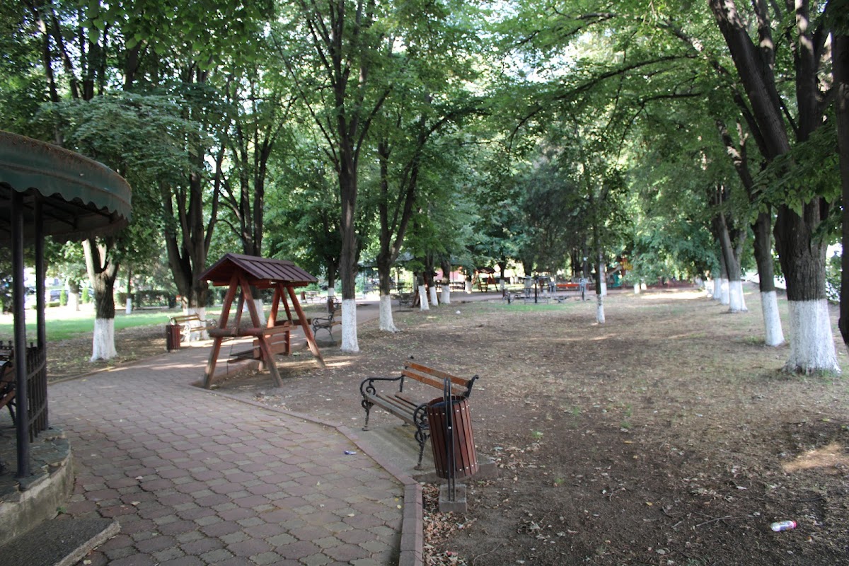 Parc Însurăței - foto 4