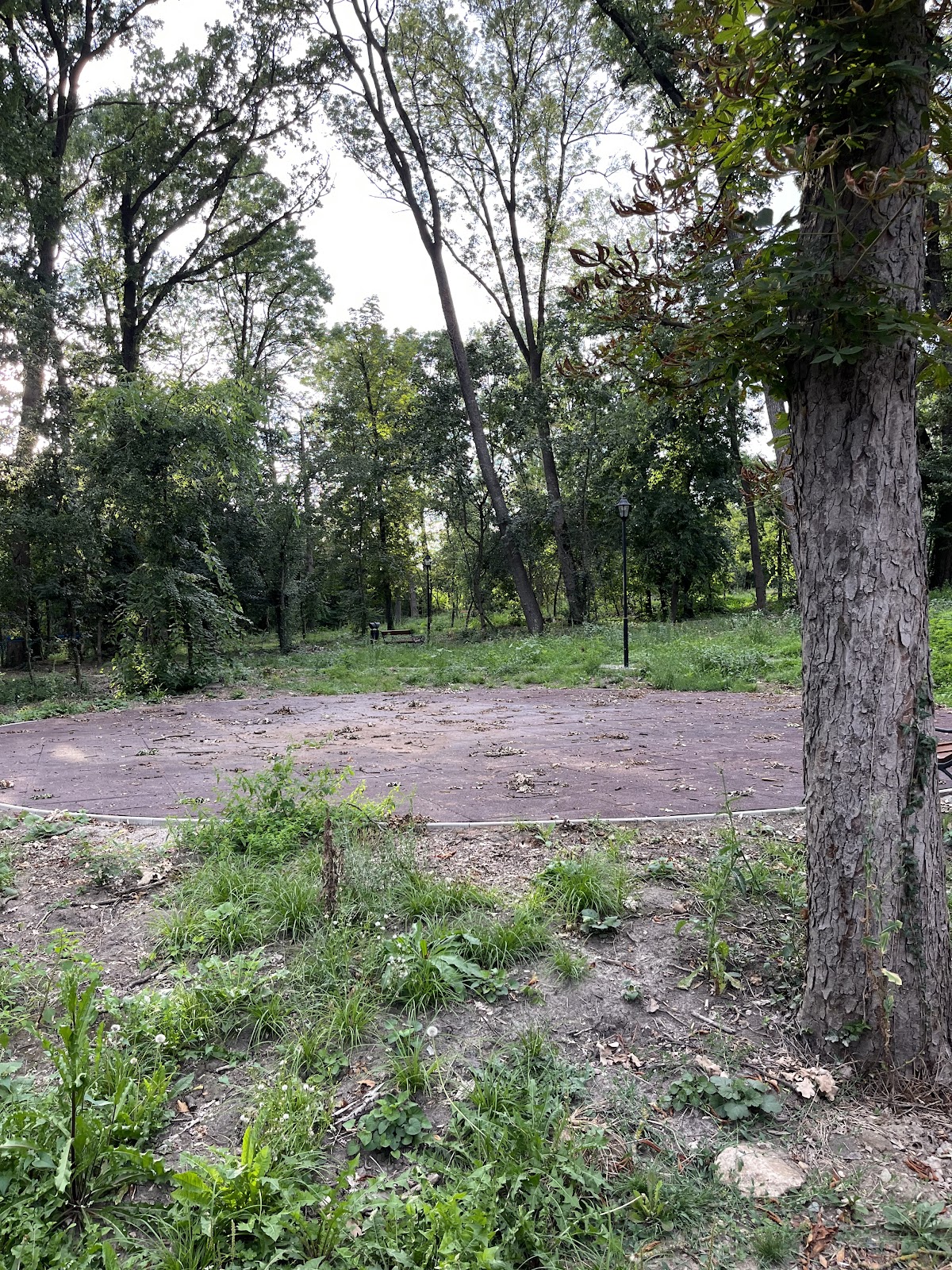 Parc Lighet - foto 5