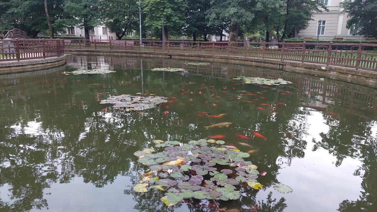 Mihai Viteazu Park
