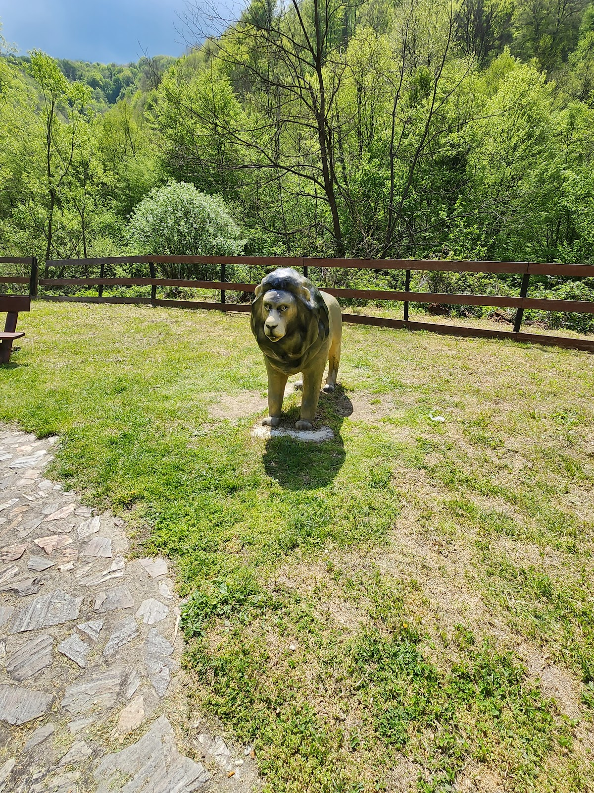 Nădrag Park - foto 2