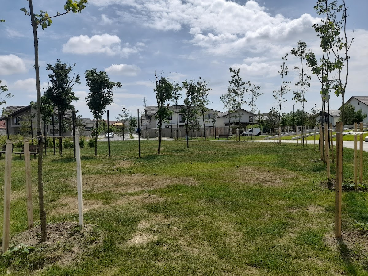 PARQUE NICOLAE GRIGORESCU - foto 3