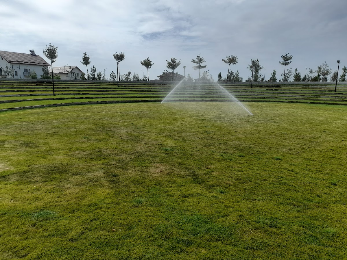 PARQUE NICOLAE GRIGORESCU - foto 4