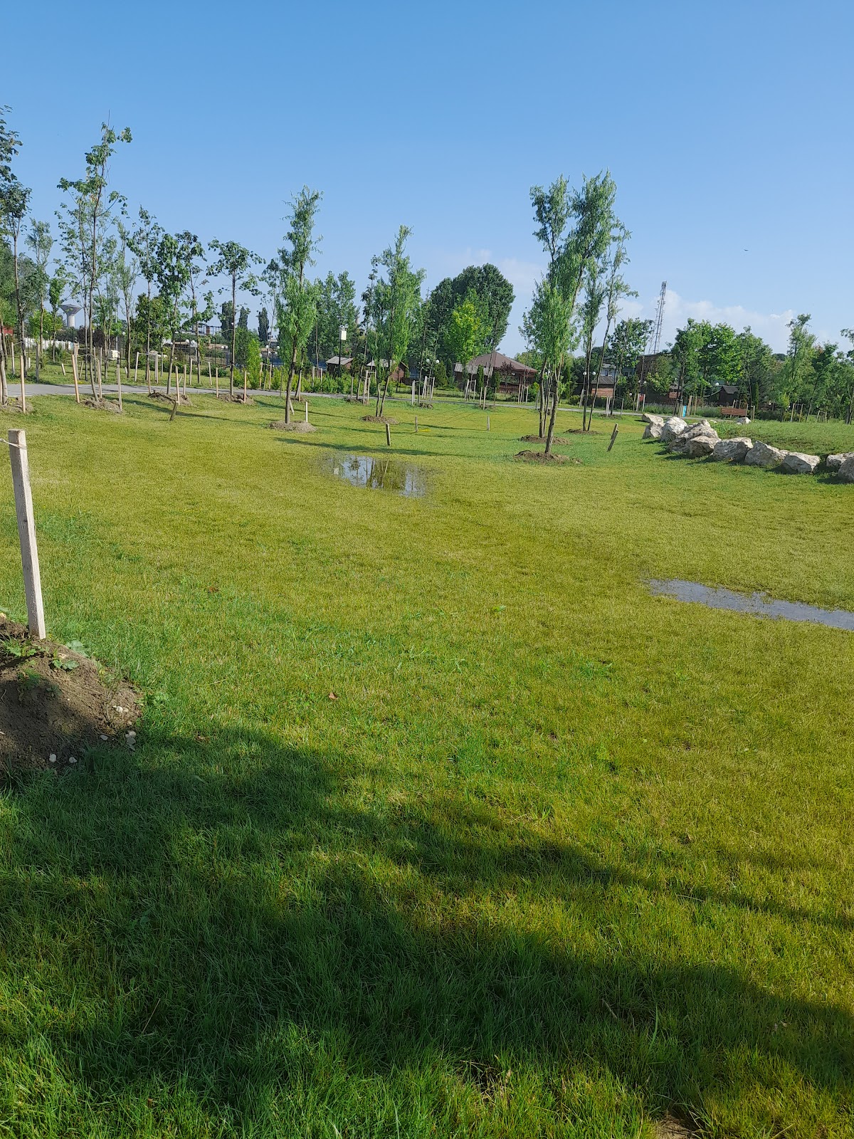 PARQUE NICOLAE GRIGORESCU - foto 5