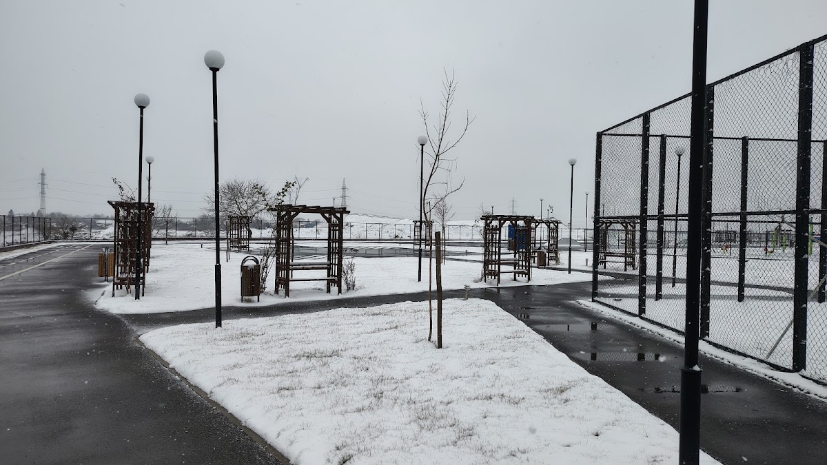 Parc de la ville de Buftea