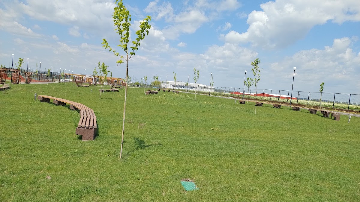 Parc de la ville de Buftea - foto 5