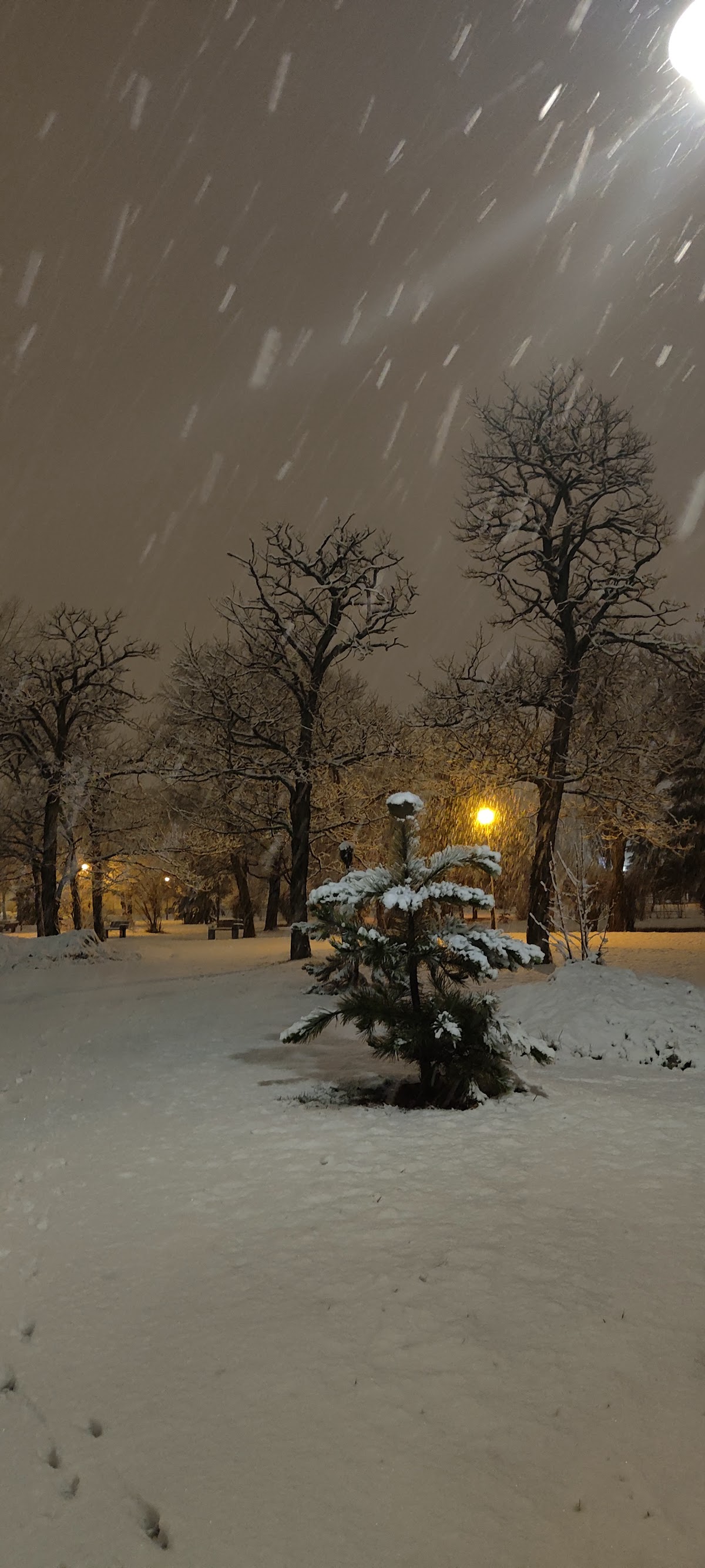 Parc Pădurice - foto 3