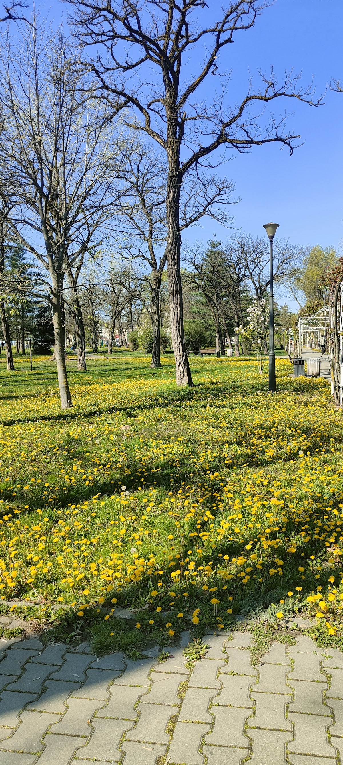 Parc Pădurice - foto 4