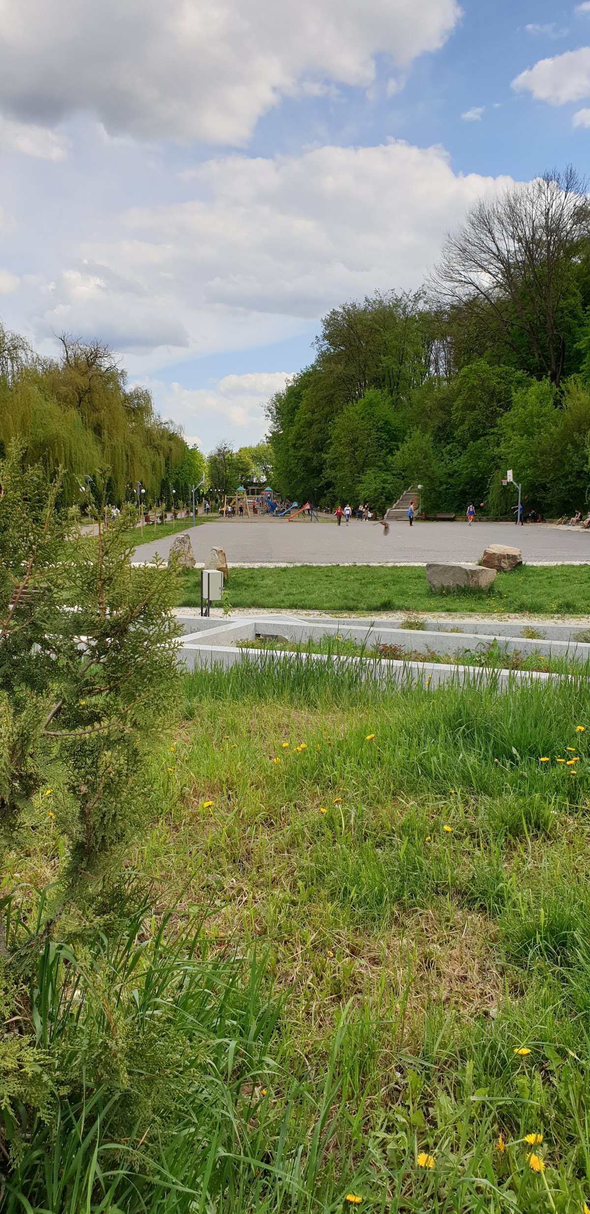Parc Pestisorul