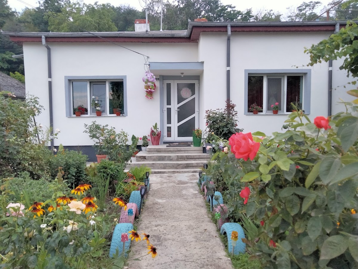 Parc Pestisorul - foto 2