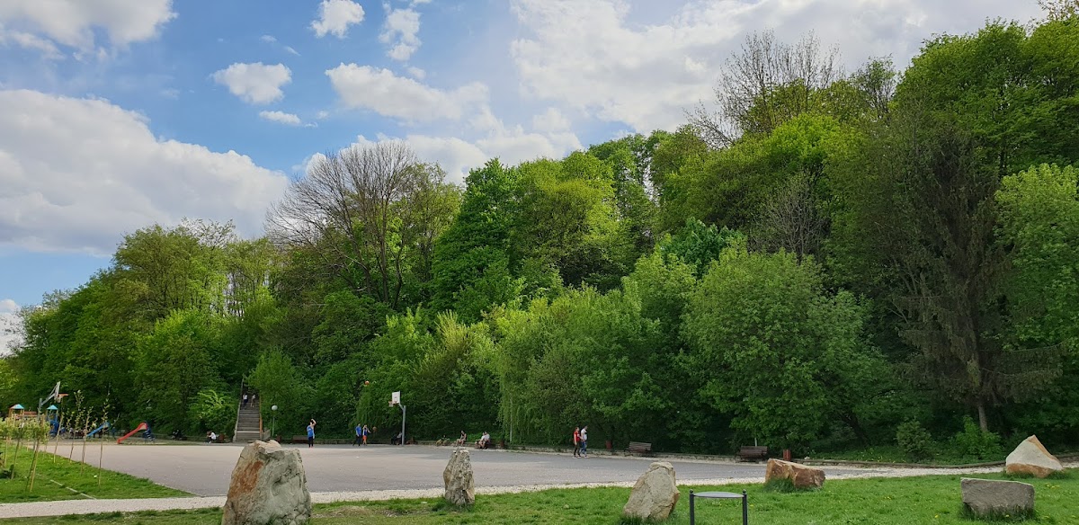 Parc Pestisorul - foto 3