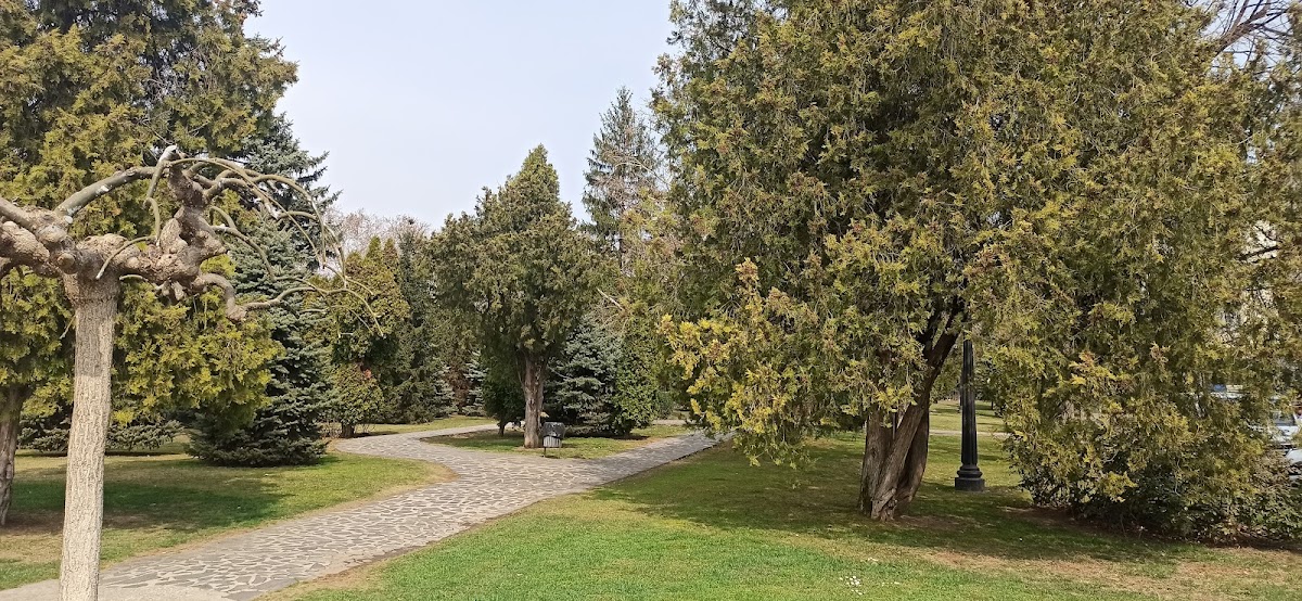 Parc Podu Roş - foto 4