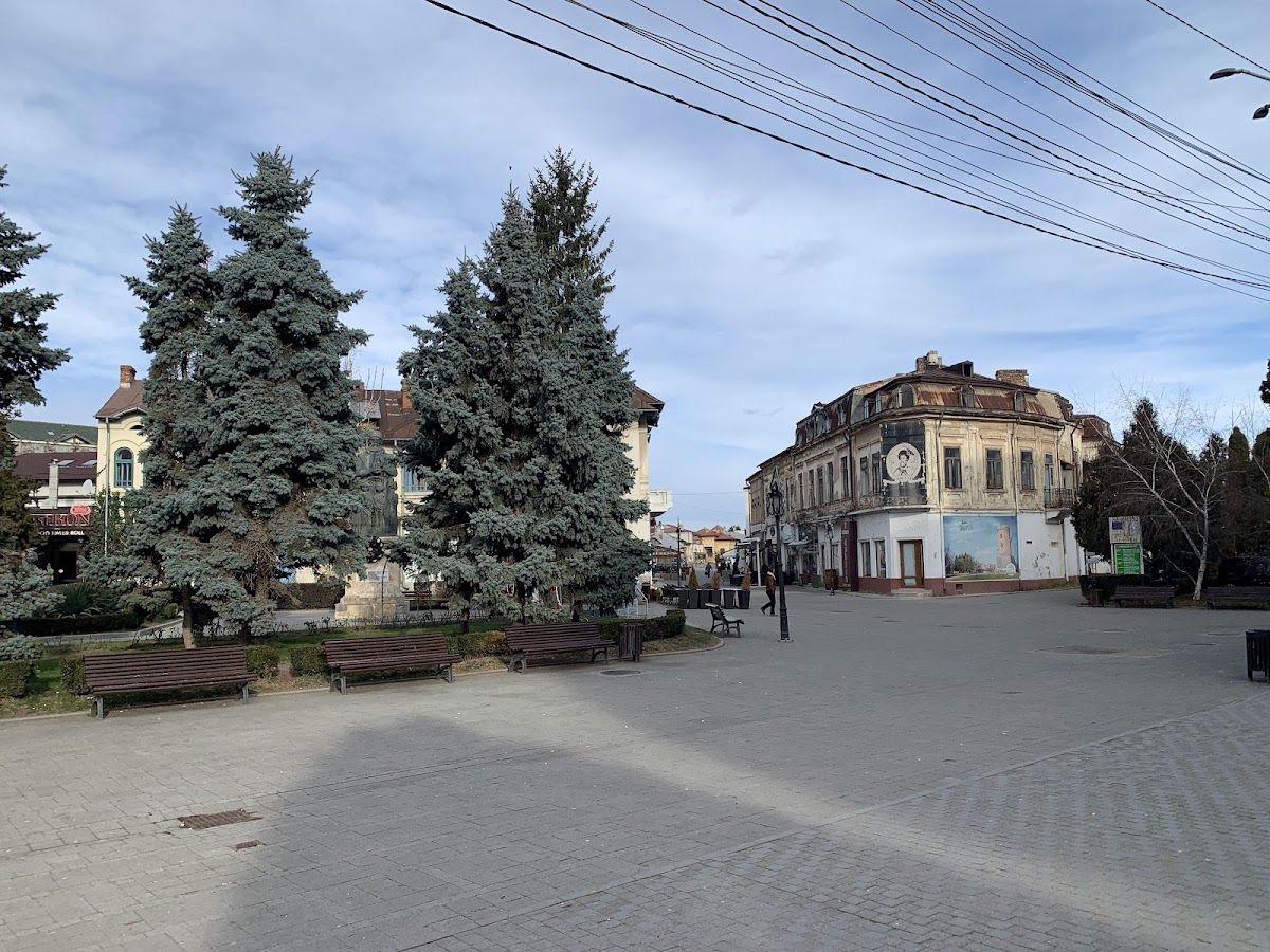 Primărie Park Târgoviste - foto 4