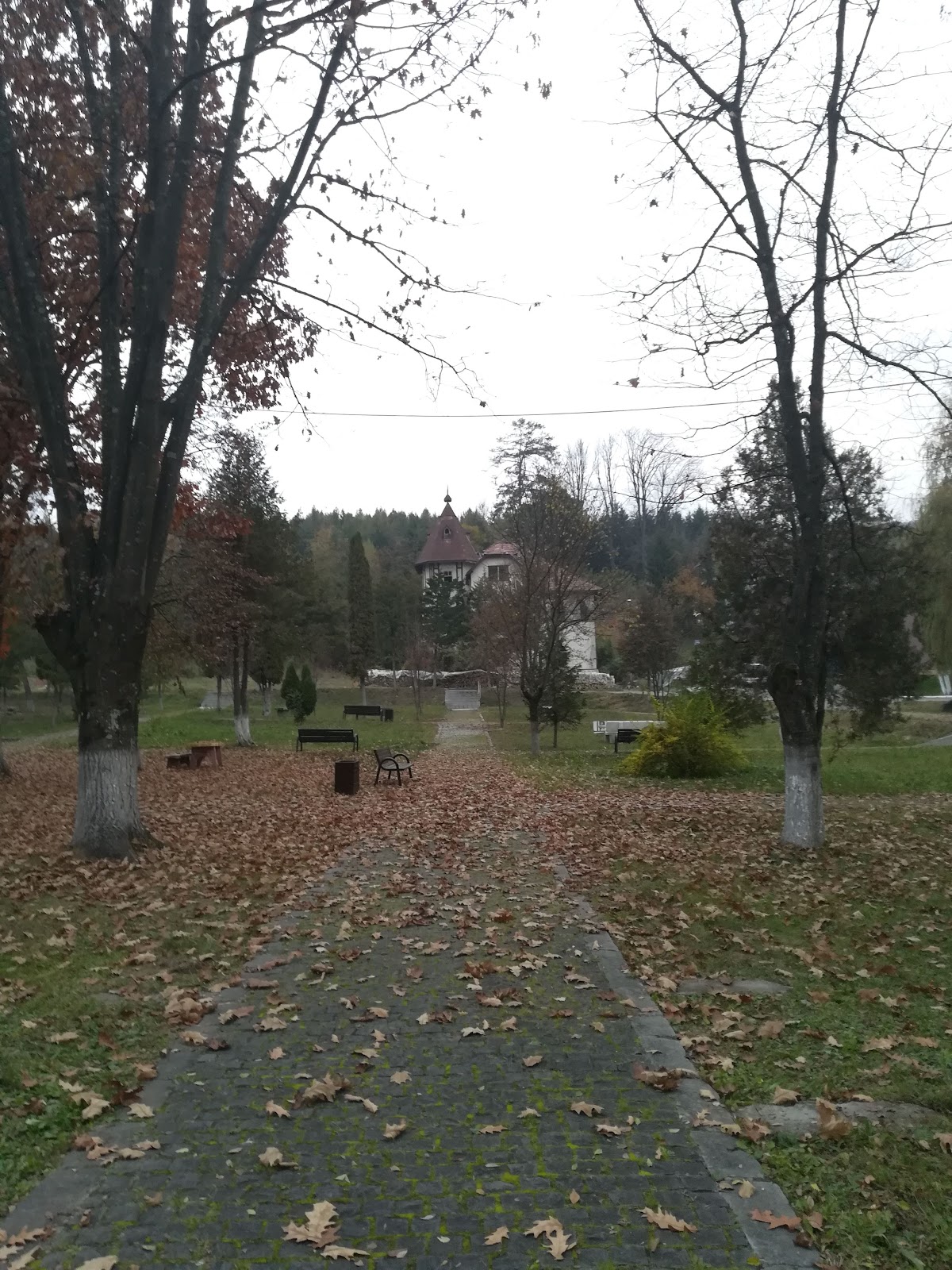 Sângeorz-Băi Park - foto 4