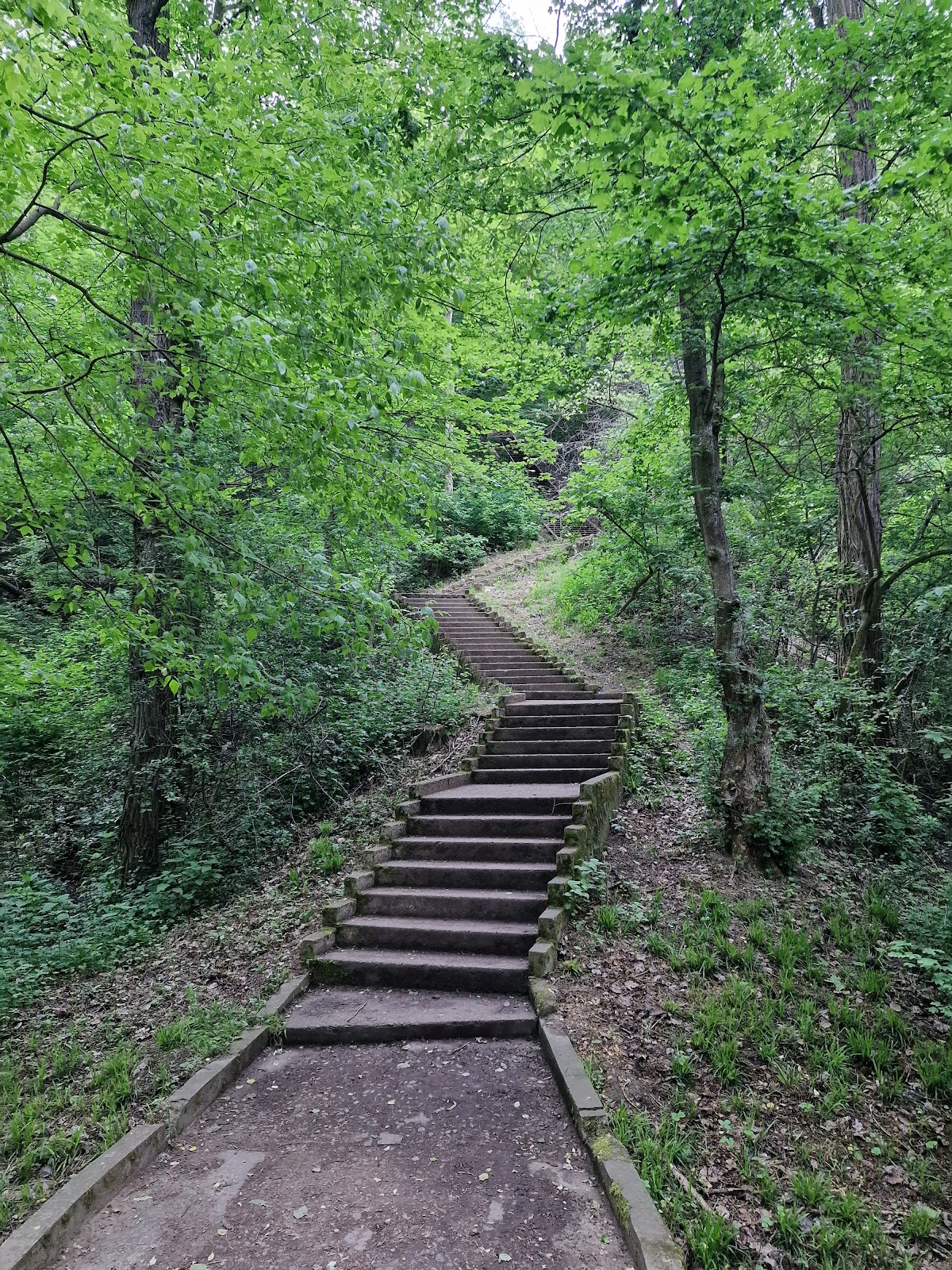 Parc Şipote