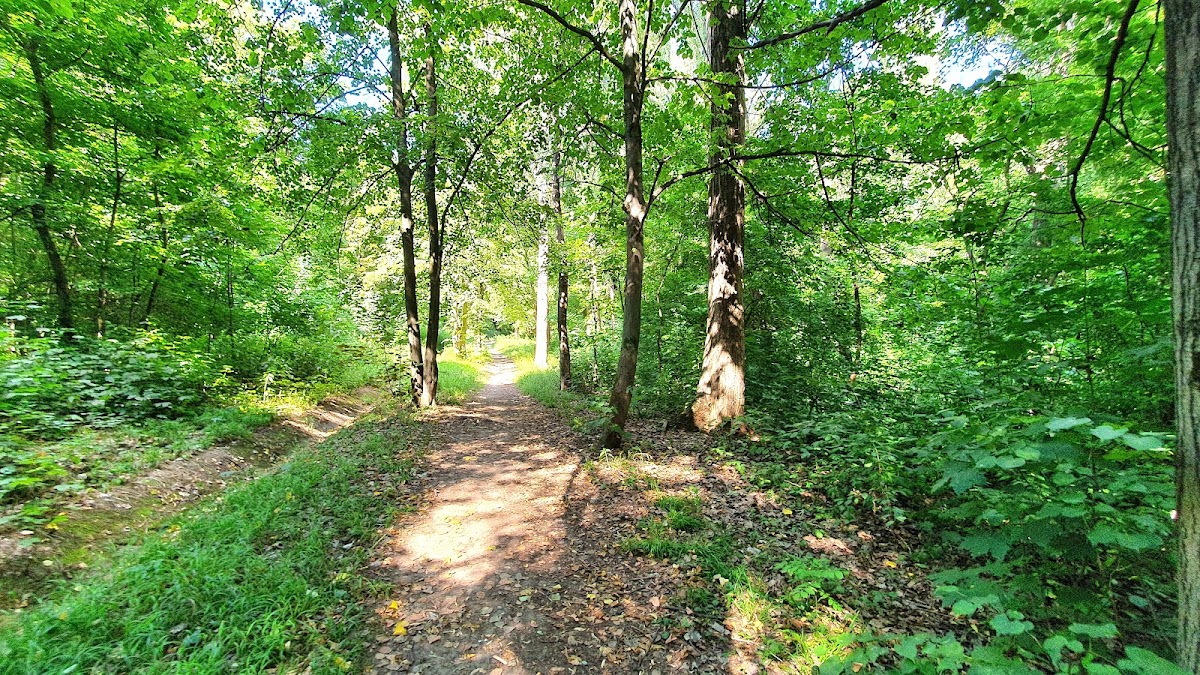 Parc Şipote - foto 2