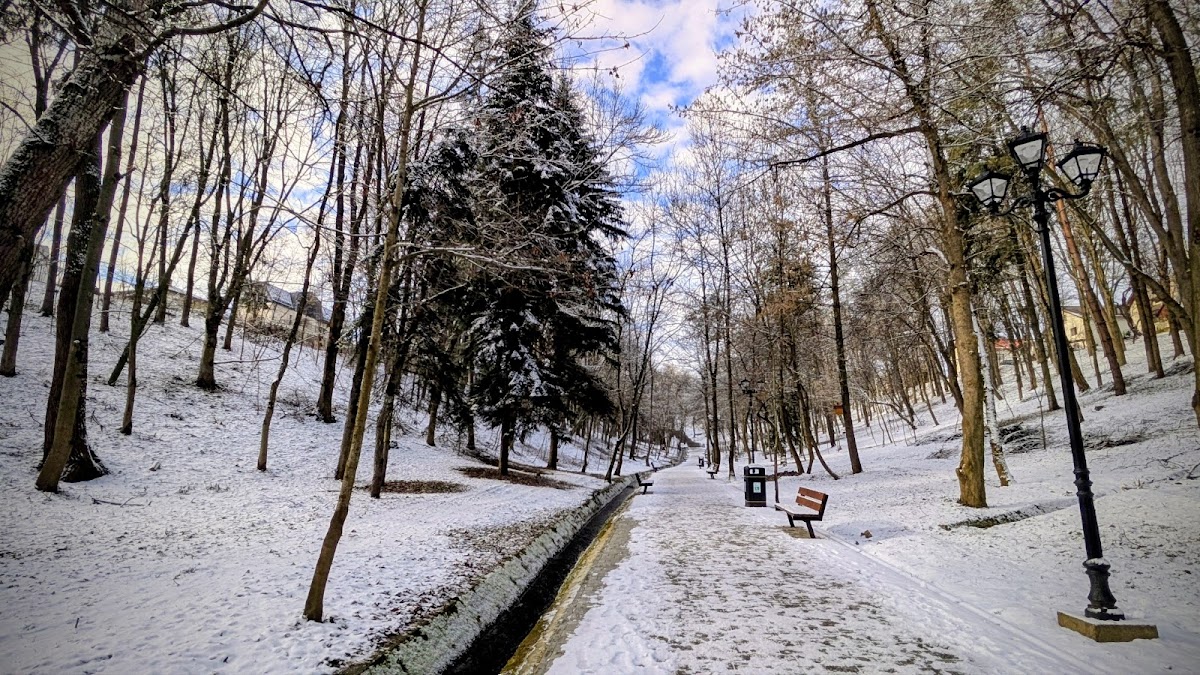 Parc Şipote - foto 4