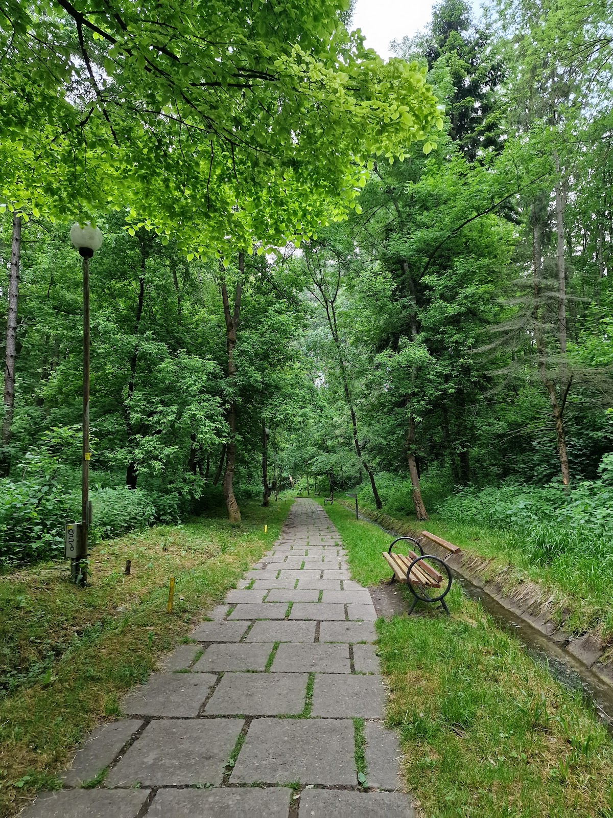 Parc Şipote - foto 5