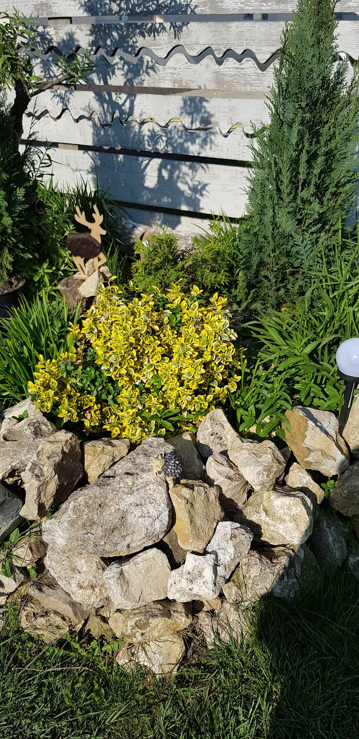 Parc Valu lui Traian - foto 4