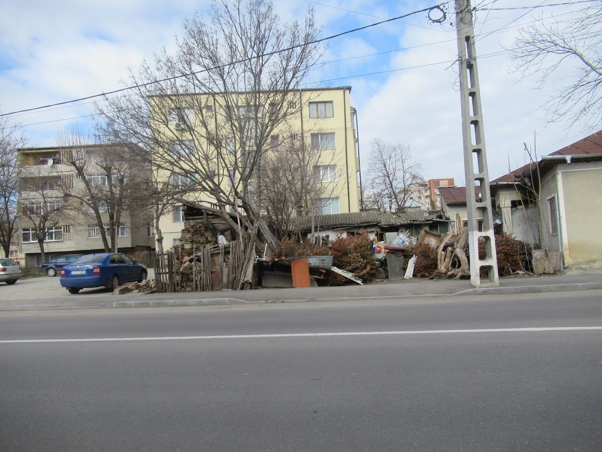 维多利亚公园 - foto 3