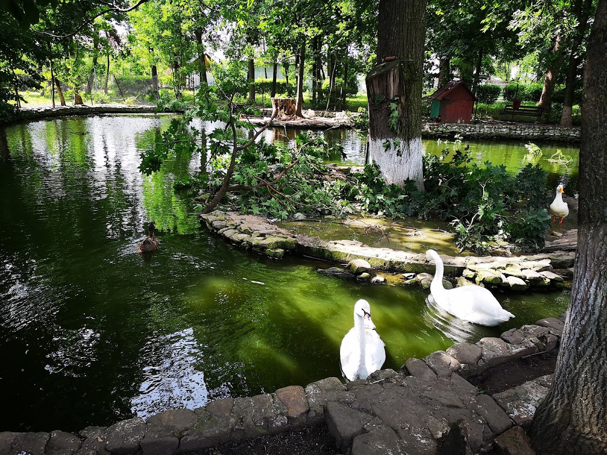 Parc Zoologic Rădăuți - foto 5