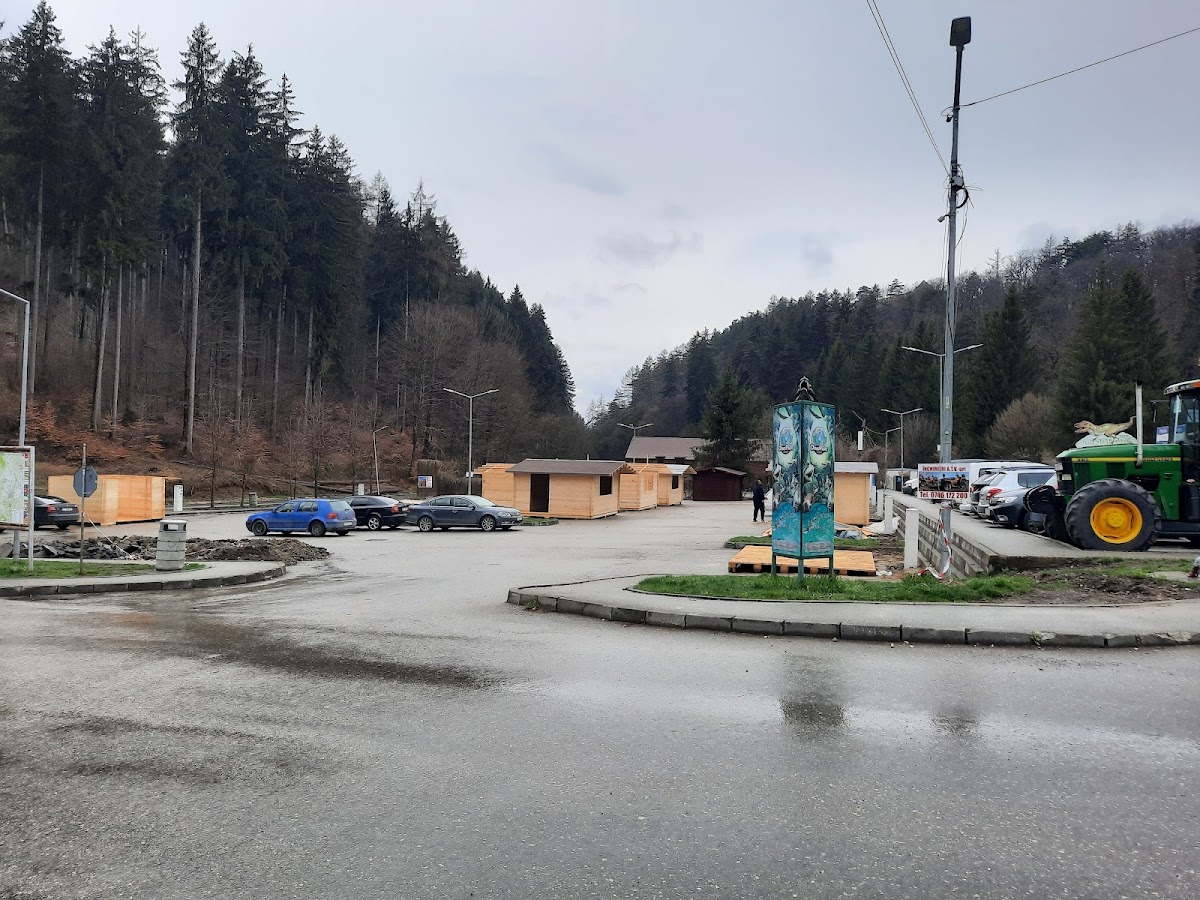 Parcare Cetate - foto 3