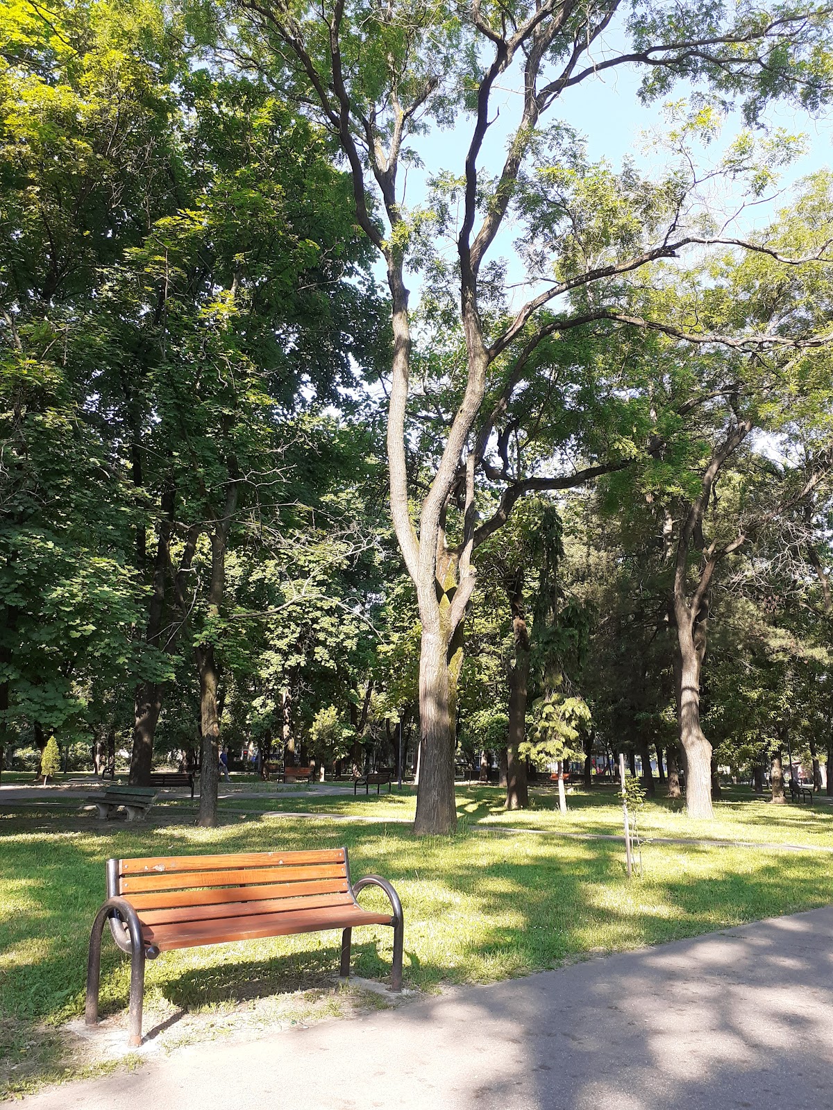 Parcul 22 Decembrie, Oradea