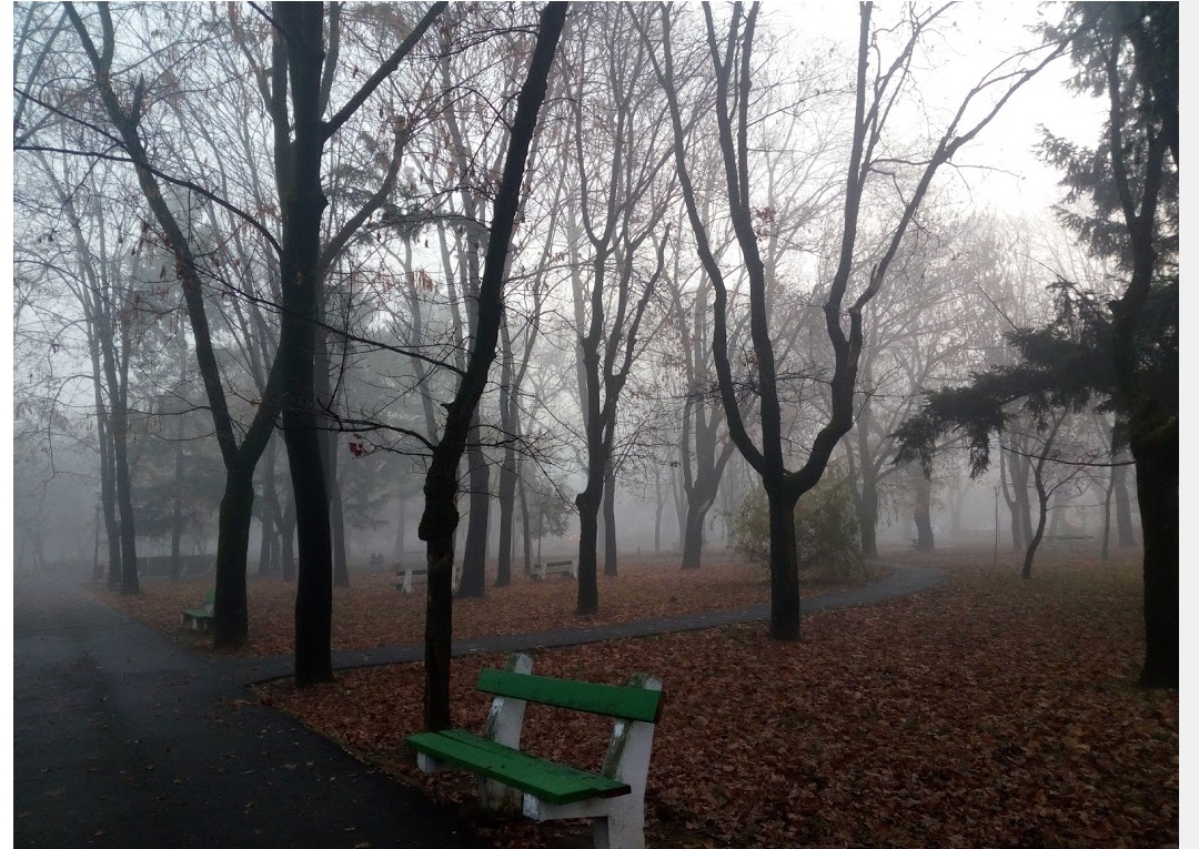 December 22 Park - foto 4