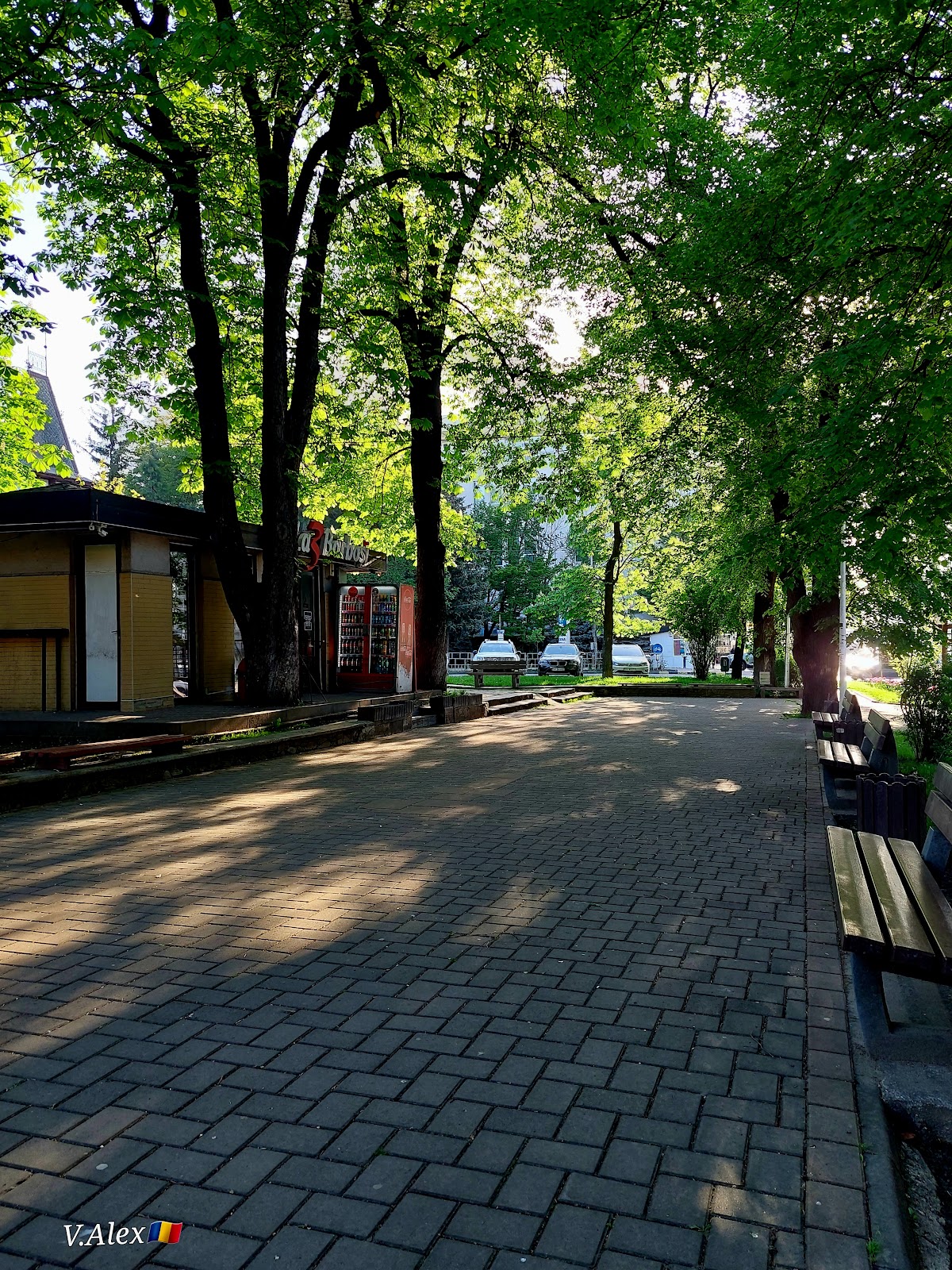 Parcul 3 Barboşi - foto 2