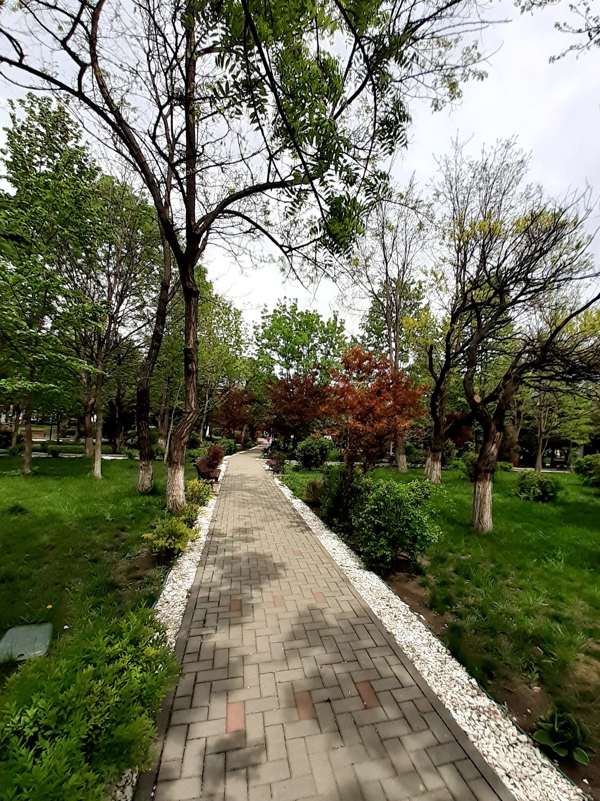 公园 - foto 5