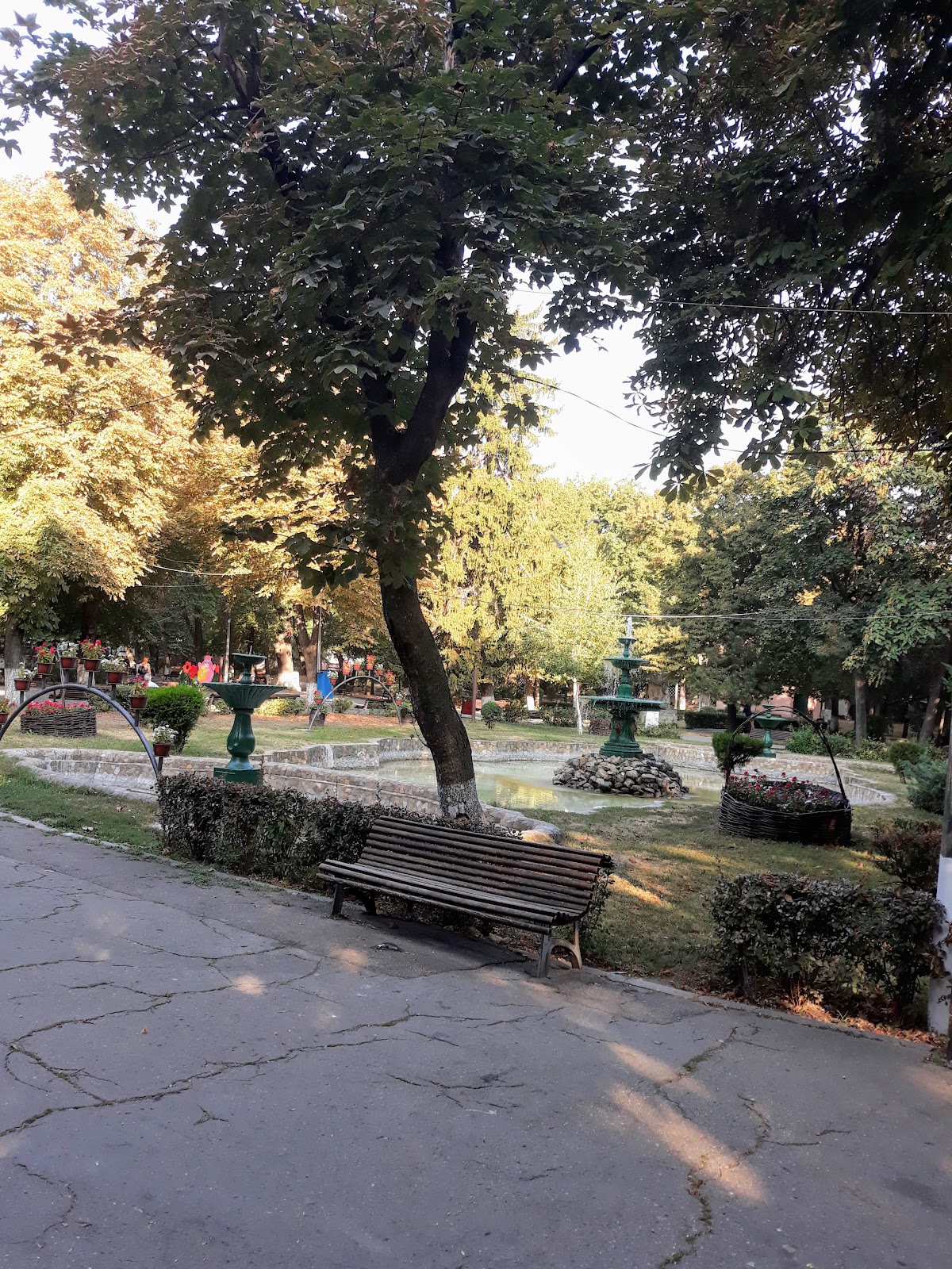 Parcul 9 Luni