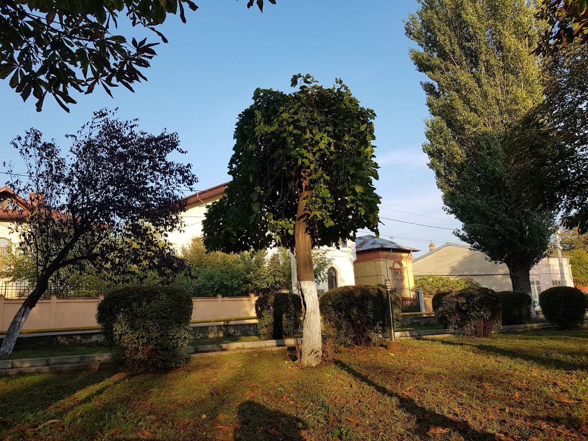 Parcul 9 Luni - foto 2